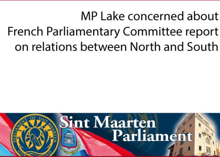 MP Lake concerned about French Parliamentary Committee report on relations between North and South