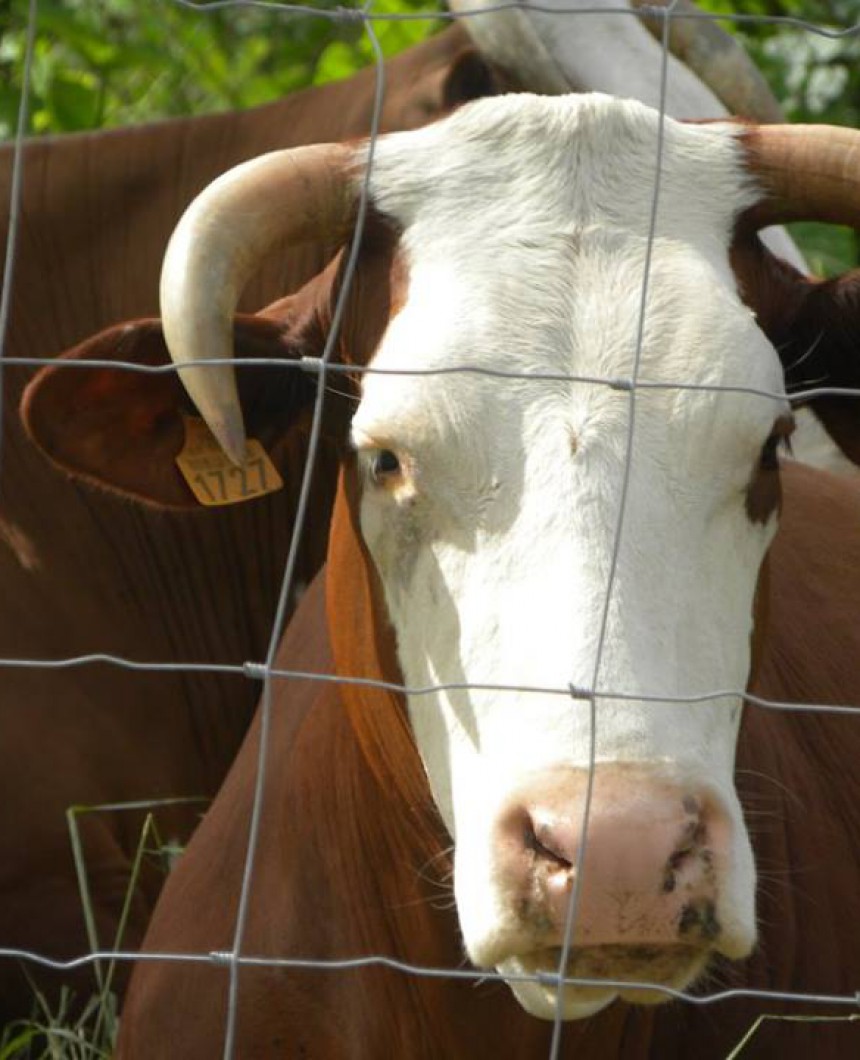 10649548_10152838131104841_3713194949340747142_n