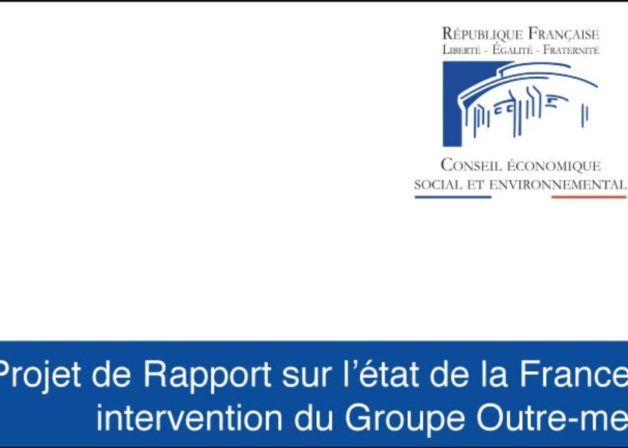 CESE – Projet de Rapport sur l’état de la France, intervention du Groupe Outre-mer