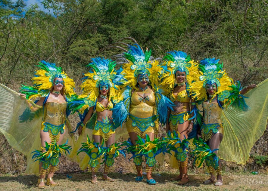 Photos Carnaval 2015 “Grande parade” par Steph Deziles