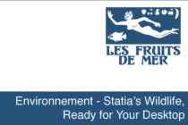 Environnement – Statia’s Wildlife, Ready for Your Desktop