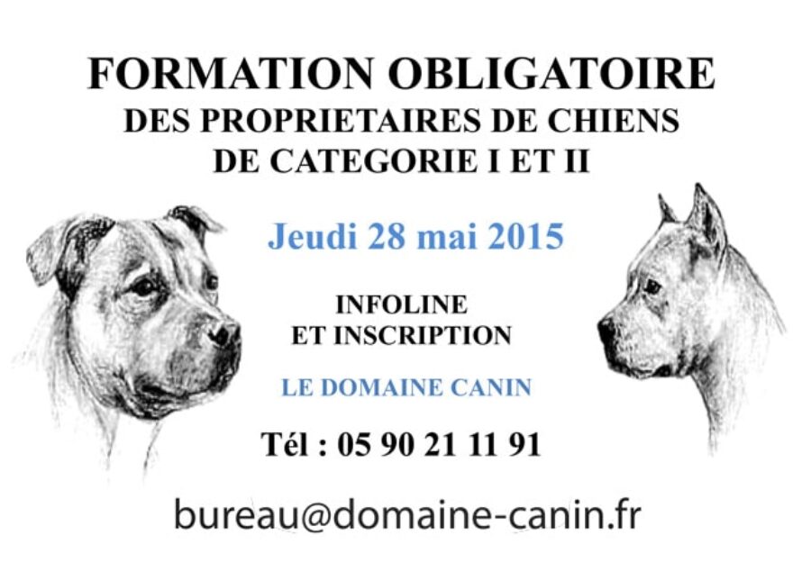Saint-Martin – Propriétaires de chiens de catégorie 1 et 2, avez-vous bien suivi la formation obligatoire ?