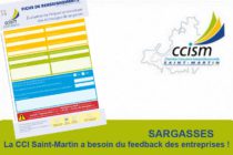 SARGASSES – La CCI Saint-Martin a besoin du feedback des entreprises !
