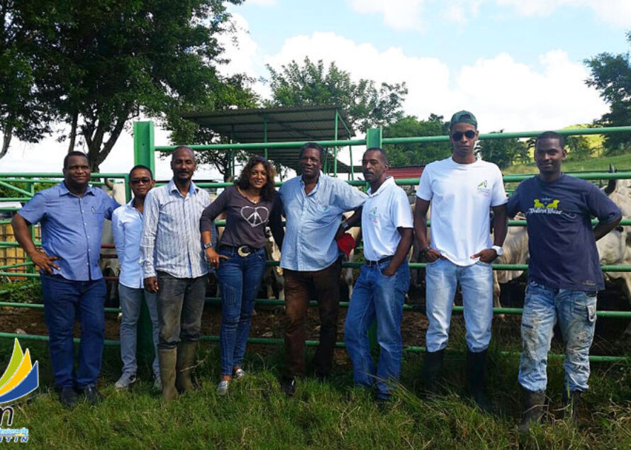 CCI Saint-Martin – Déplacement en Martinique pour la filière élevage