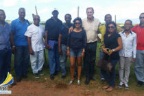 Filière élevage : deuxième déplacement en Martinique de la CCI Saint-Martin, de la Com et d’une délégation d’éleveurs 