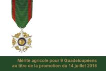 GUADELOUPE : Distinction – Le Mérite agricole pour neuf guadeloupéens