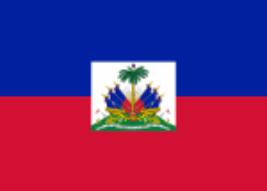 Haïti: résultats préliminaires des élections le 7 décembre