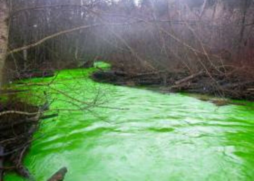Une rivière à Victoria tourne mystérieusement au vert fluo
