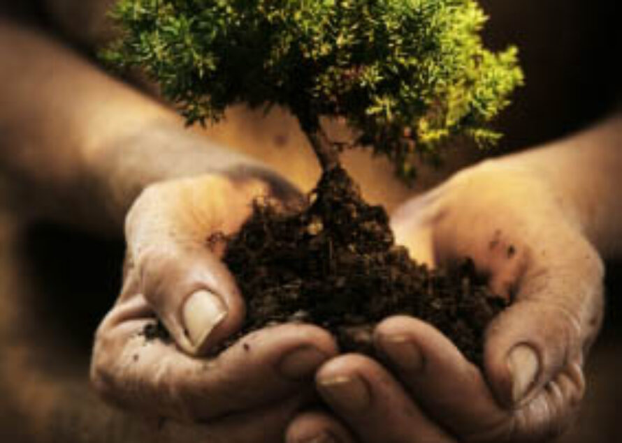 SAINT MARTIN: College de Quartier d’Orléans