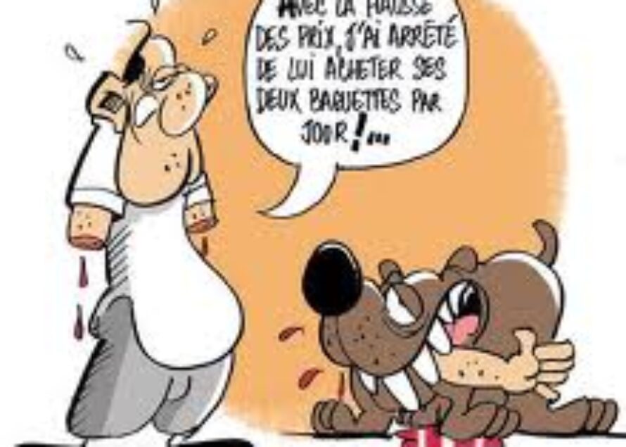 Pas-de-Calais: Une fillette défigurée par un chien