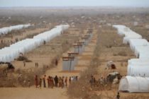 Les Nations unies déclarent deux régions du sud de la Somalie en famine