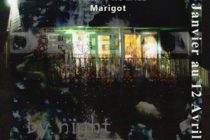 Exposition: a DREAM by night… Florence POIRIER-NKPA 18 janvier – 12 avril 2013