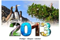 La Réserve Naturelle est au service de Saint Barthélemy 7j/7 ! – La lettre de Janvier 2013