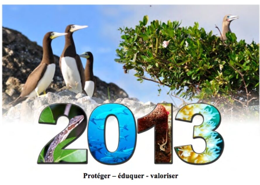 La Réserve Naturelle est au service de Saint Barthélemy 7j/7 ! – La lettre de Janvier 2013