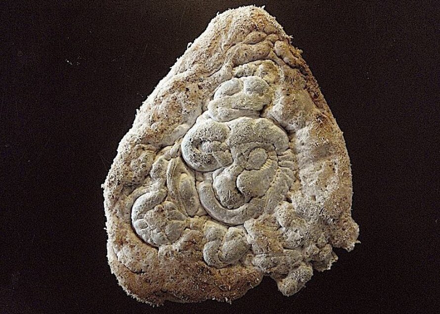 La couleur qui n’existe pas (suite d’« Un étrange déjeuner »)