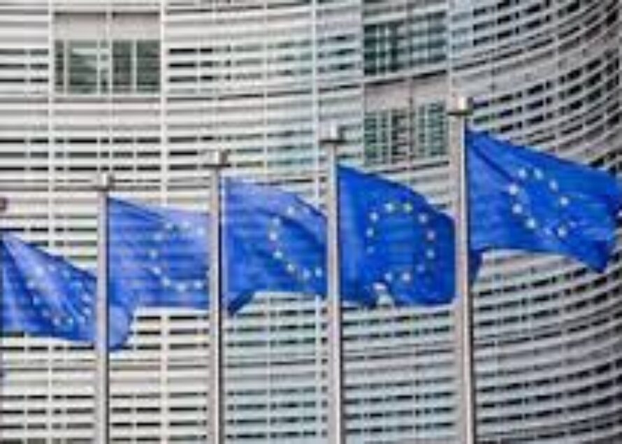 Rapport de la Commission Développement Régional du Parlement européen sur le Fond Européen d’Aide aux plus Démunis