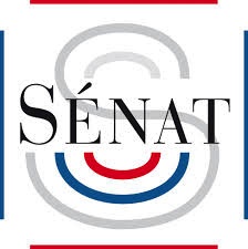 En direct du Sénat… ou presque