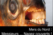 Scandinavie : Alerte au poisson mangeur de … testicules !