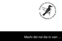 Machi … She Did Not Die in Vain . . .