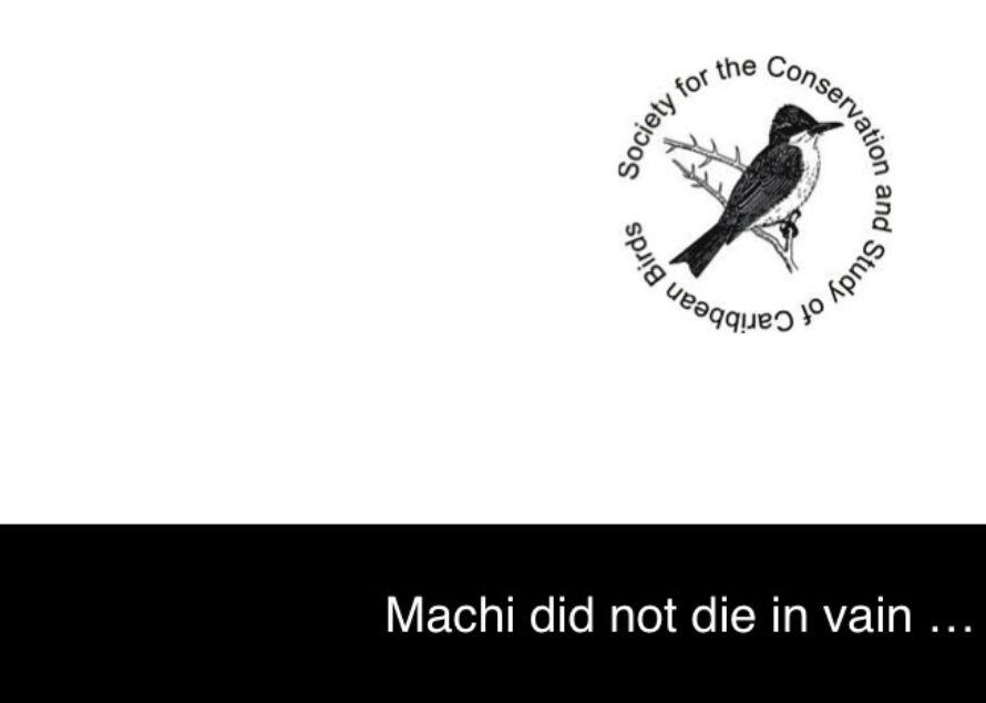 Machi … She Did Not Die in Vain . . .