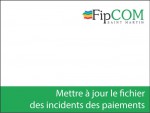 100913-FIPcom