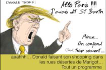 Donald Trump, Saint-Martinois ?