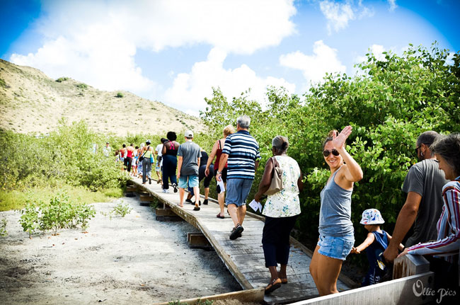 Festival visitors head out on the trail for a guided tour of the Étang de la Barrière - Credit: Olivia Roudon