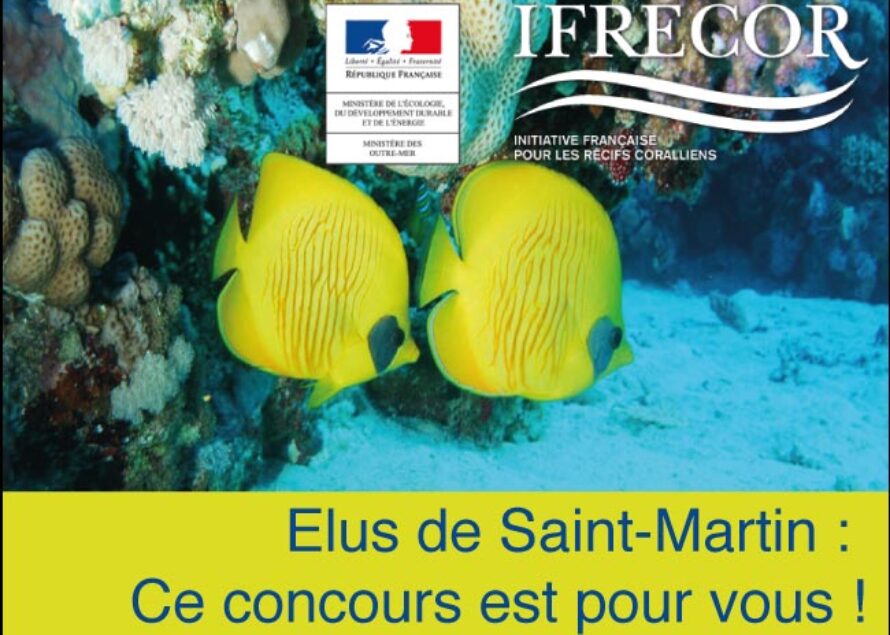 Elus de Saint-Martin : Mobilisez-vous pour la PALME IFRECOR 2013