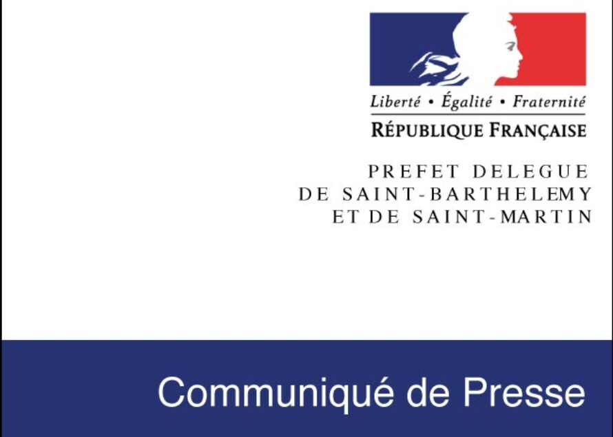 Saint-Martin. Comité de Gestion Chikungunya