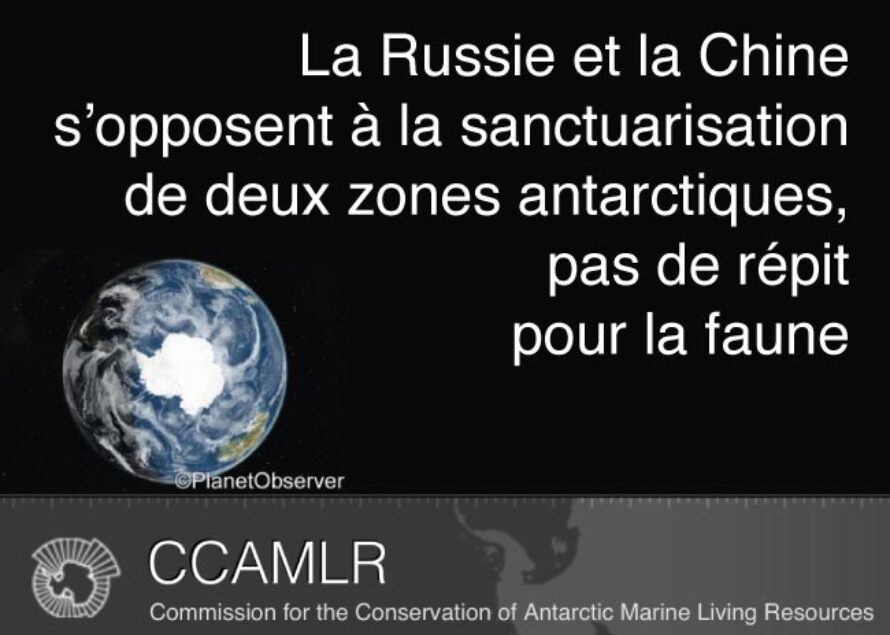 Environnement. La Russie et la Chine font capoter le projet de réserve en antarctique