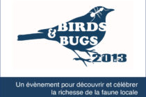 Saint-Martin. Les amoureux de la nature organisent l’évènement Birds & Bugs 2013, Samedi 7 Décembre