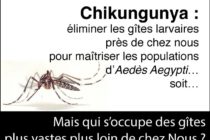 Chikungunya. Le moustique ne vit-il que dans nos soucoupes ?