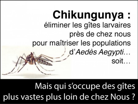 161213-Chikungunya