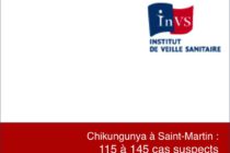 Antilles. Chikungunya : Point de situation au 19 décembre