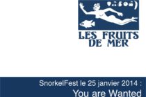 Saint-Martin. Bénévoles recherchés pour SnorkelFest !