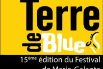 Marie Galante. Du 6 au 9 juin 2014, Grand Bourg accueille Terre de Blues