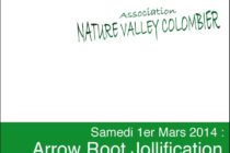 Saint-Martin. Arrow Root Jollification Samedi 1er Mars
