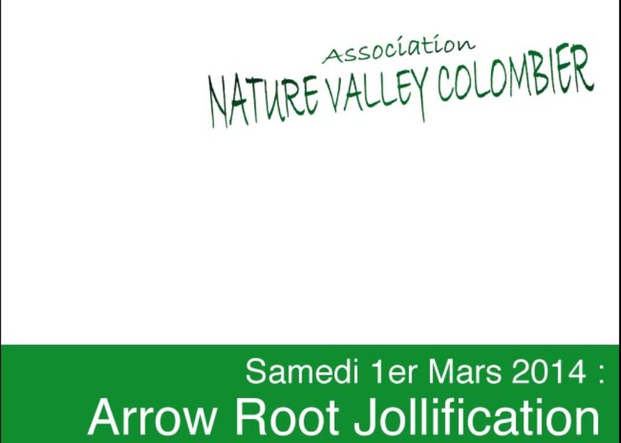Saint-Martin. Arrow Root Jollification Samedi 1er Mars