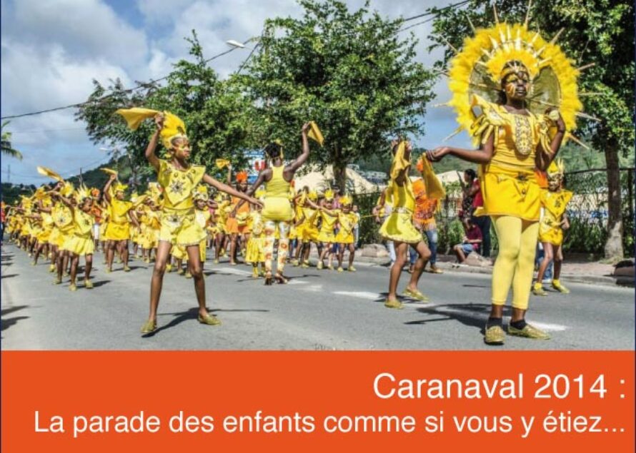 Saint-Martin. Carnaval des enfants… en images