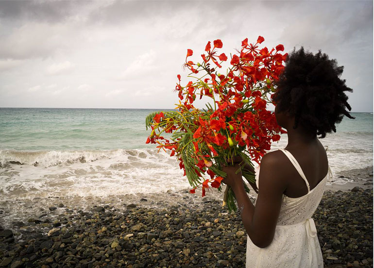 A season of bloom – Photographie de Deborah Jack– 30X42 cm - 2014