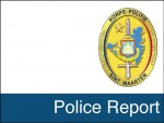 100314-PoliceReport