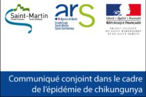 Chikungunya. Les efforts de préventions et de lutte contre le moustique Aedes Aegypti doivent se poursuivre à Saint-Martin