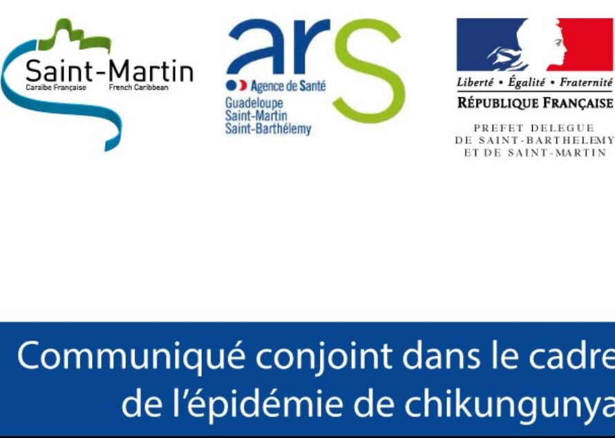 Chikungunya. Les efforts de préventions et de lutte contre le moustique Aedes Aegypti doivent se poursuivre à Saint-Martin