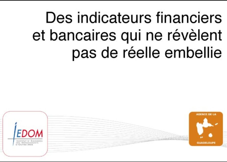 Economie. Évolution contrastée des indicateurs financiers et bancaires dans la Collectivité de Saint-Martin à fin décembre 2013