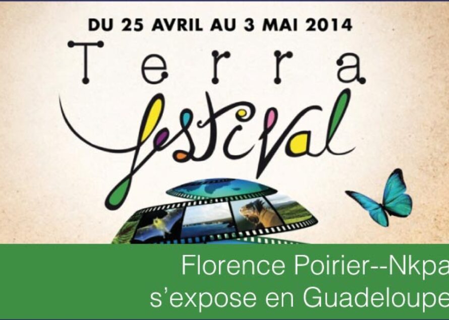 Art. Florence Poirier–Nkpa s’expose au 11ème Terra Festival en Guadeloupe