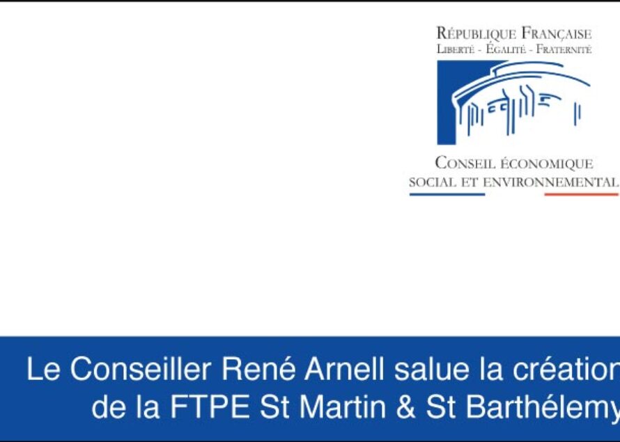 FTPE. L’allocution de représentant de la Collectivité de Saint-Martin au CESE