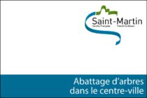 Saint-Martin. Abattage d’arbres dans le centre-ville