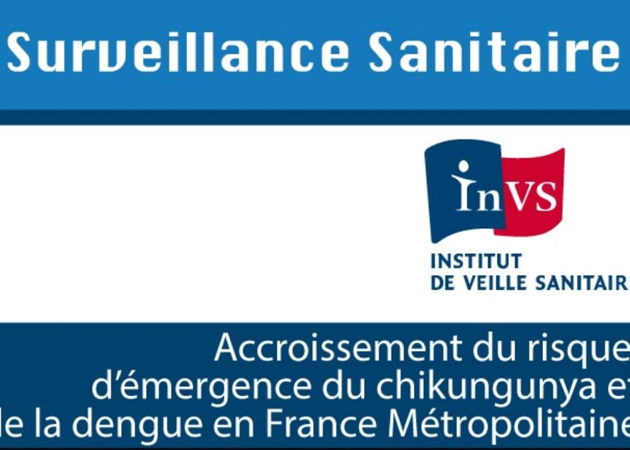 Santé. La dengue et le chikungunya s’invitent en France
