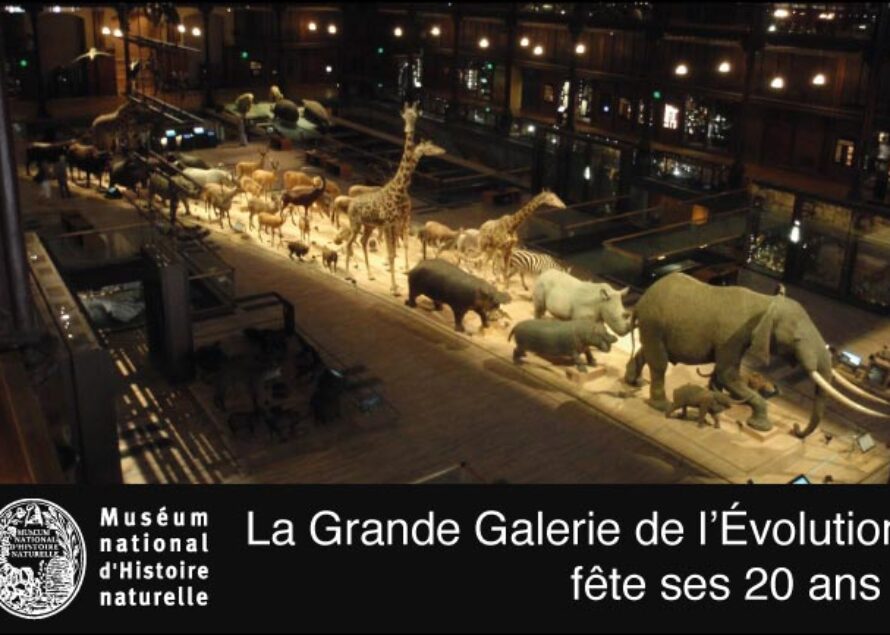 Muséum National d’Histoire Naturelle. La grande galerie de l’évolution fête ses 20 ans