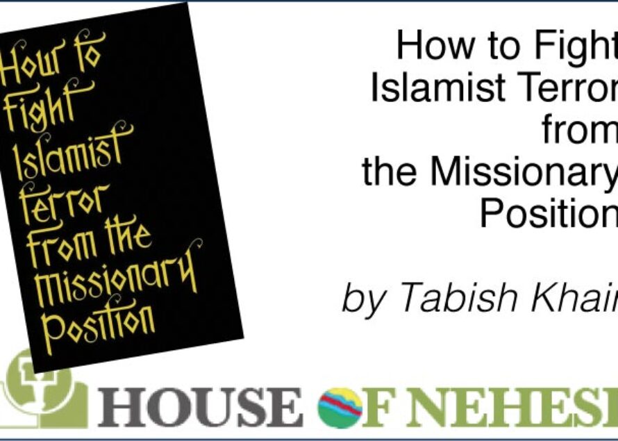 Sint Maarten. “How to Fight Islamist Terror from the Missionary Position” by Tabish Khair